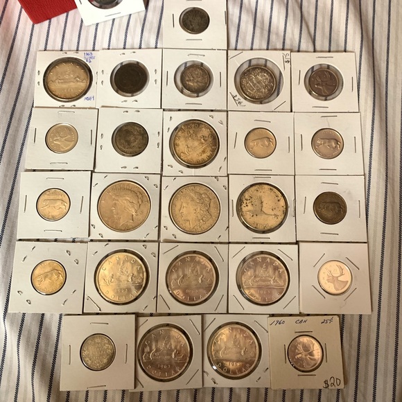 Meet your Posher, Hadley - Picture 3 of 8